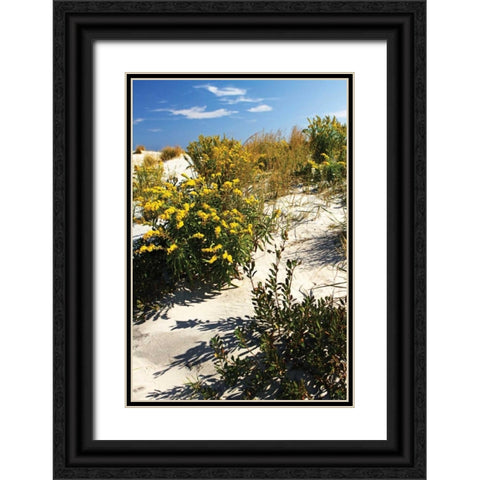 Assateague Beach V Black Ornate Wood Framed Art Print with Double Matting by Hausenflock, Alan