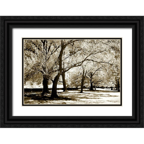 Fantasy Oaks Black Ornate Wood Framed Art Print with Double Matting by Hausenflock, Alan