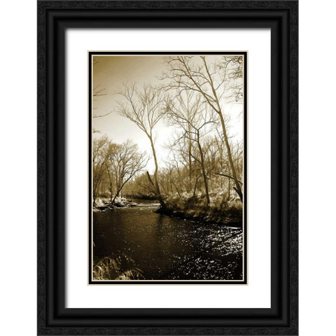 Winter on the Neuse River Black Ornate Wood Framed Art Print with Double Matting by Hausenflock, Alan