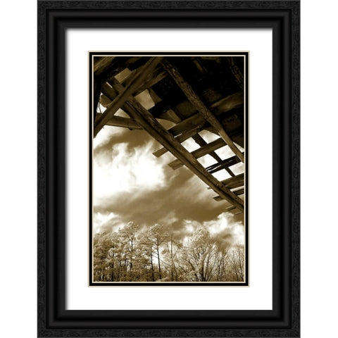 Falling Down II Black Ornate Wood Framed Art Print with Double Matting by Hausenflock, Alan