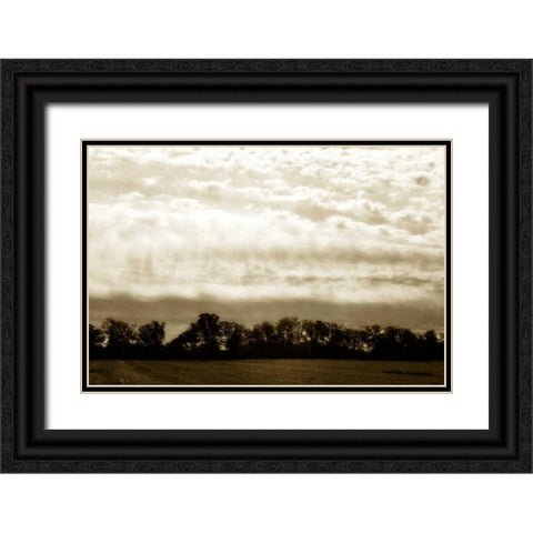 Clouds and Fields I Black Ornate Wood Framed Art Print with Double Matting by Hausenflock, Alan