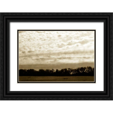 Clouds and Fields II Black Ornate Wood Framed Art Print with Double Matting by Hausenflock, Alan