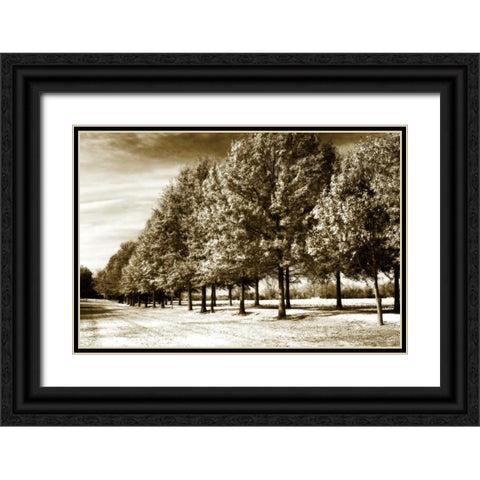 Plantation Road II Black Ornate Wood Framed Art Print with Double Matting by Hausenflock, Alan