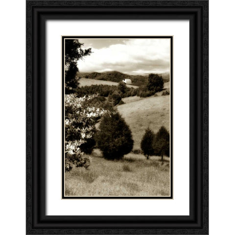 Madison County II Black Ornate Wood Framed Art Print with Double Matting by Hausenflock, Alan