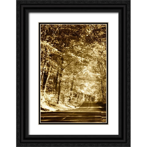 Autumn Wood Road III Black Ornate Wood Framed Art Print with Double Matting by Hausenflock, Alan