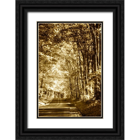 Autumn Wood Road IV Black Ornate Wood Framed Art Print with Double Matting by Hausenflock, Alan