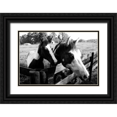 Stormy and Foal II Black Ornate Wood Framed Art Print with Double Matting by Hausenflock, Alan