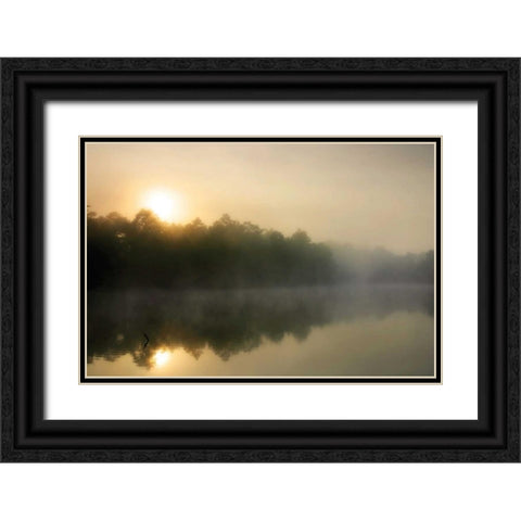 Fog on the Mattaponi III Black Ornate Wood Framed Art Print with Double Matting by Hausenflock, Alan