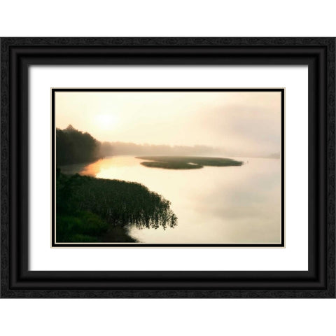 Fog on the Mattaponi VII Black Ornate Wood Framed Art Print with Double Matting by Hausenflock, Alan