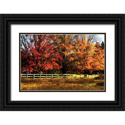 Autumn in the Fields Black Ornate Wood Framed Art Print with Double Matting by Hausenflock, Alan