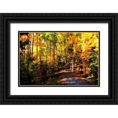 The Road Home Black Ornate Wood Framed Art Print with Double Matting by Hausenflock, Alan