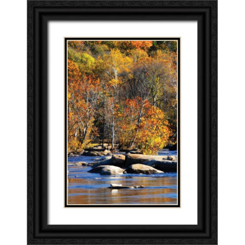 Autumn on the River I0 Black Ornate Wood Framed Art Print with Double Matting by Hausenflock, Alan