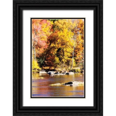 Autumn on the River II Black Ornate Wood Framed Art Print with Double Matting by Hausenflock, Alan