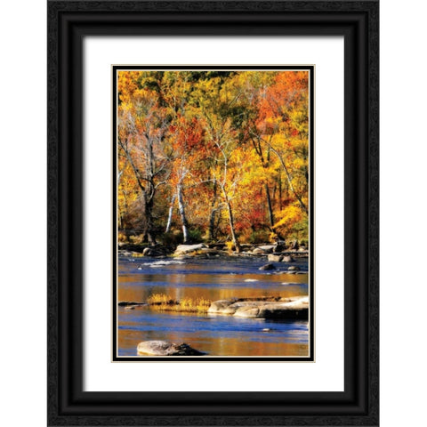 Autumn on the River I2 Black Ornate Wood Framed Art Print with Double Matting by Hausenflock, Alan