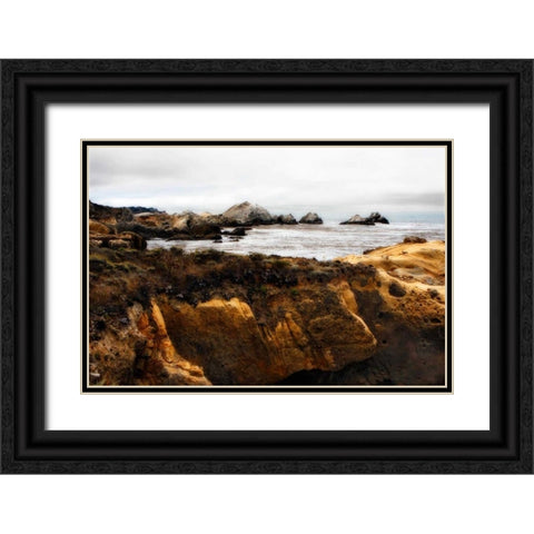 Sand Hill Cove IV Black Ornate Wood Framed Art Print with Double Matting by Hausenflock, Alan