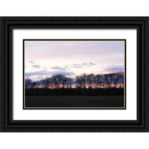 Winter Sunset I Black Ornate Wood Framed Art Print with Double Matting by Hausenflock, Alan