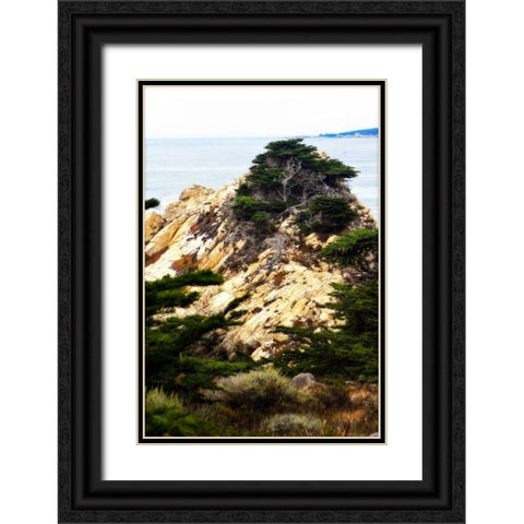 North Point III Black Ornate Wood Framed Art Print with Double Matting by Hausenflock, Alan