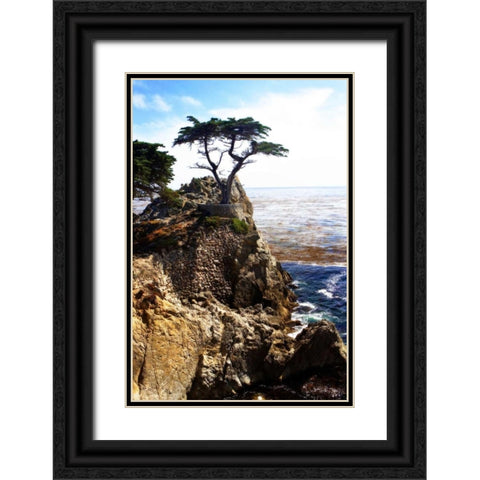 Lone Cypress I Black Ornate Wood Framed Art Print with Double Matting by Hausenflock, Alan