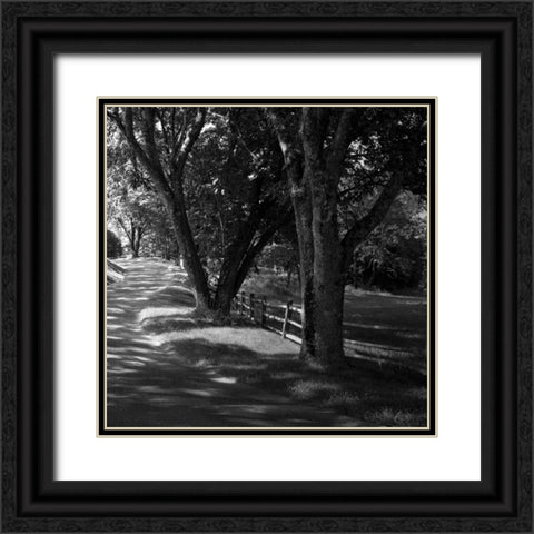 Ash Lawn Square II Black Ornate Wood Framed Art Print with Double Matting by Hausenflock, Alan