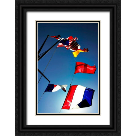 Signal Flags I Black Ornate Wood Framed Art Print with Double Matting by Hausenflock, Alan