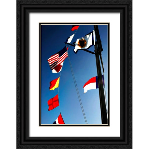 Signal Flags II Black Ornate Wood Framed Art Print with Double Matting by Hausenflock, Alan