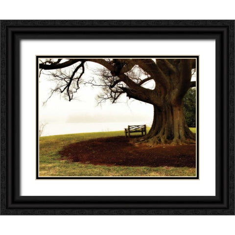 Fog on the James II Black Ornate Wood Framed Art Print with Double Matting by Hausenflock, Alan