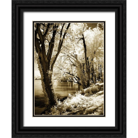 Spring on the River II Black Ornate Wood Framed Art Print with Double Matting by Hausenflock, Alan