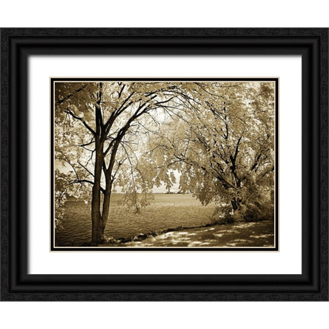 Hopewell Shores I Black Ornate Wood Framed Art Print with Double Matting by Hausenflock, Alan