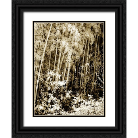 Bamboo Grove I Black Ornate Wood Framed Art Print with Double Matting by Hausenflock, Alan