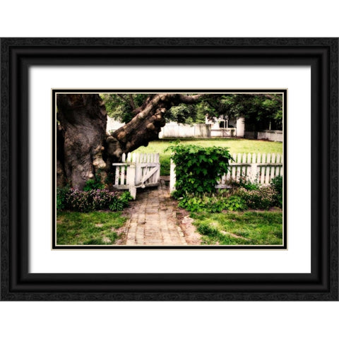 Grandfather Tree II Black Ornate Wood Framed Art Print with Double Matting by Hausenflock, Alan