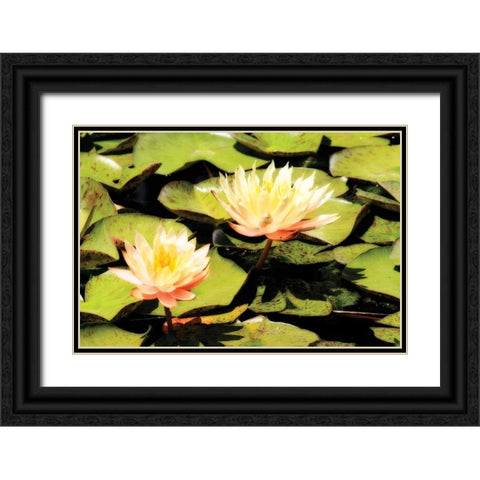 Blushing Lilies I Black Ornate Wood Framed Art Print with Double Matting by Hausenflock, Alan