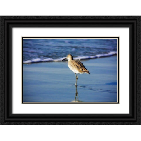 Sandpiper in the Surf I Black Ornate Wood Framed Art Print with Double Matting by Hausenflock, Alan