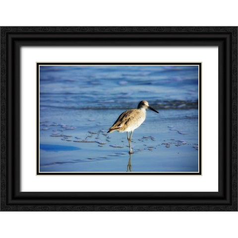 Sandpiper in the Surf II Black Ornate Wood Framed Art Print with Double Matting by Hausenflock, Alan