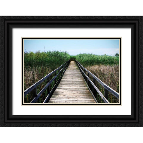 Wetland Walkway III Black Ornate Wood Framed Art Print with Double Matting by Hausenflock, Alan