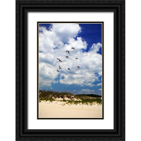 Pelicans over the Dunes V Black Ornate Wood Framed Art Print with Double Matting by Hausenflock, Alan