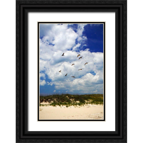 Pelicans over the Dunes VI Black Ornate Wood Framed Art Print with Double Matting by Hausenflock, Alan
