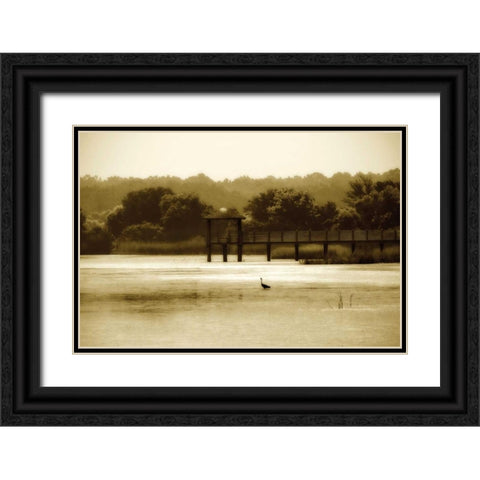 Lagoon II Black Ornate Wood Framed Art Print with Double Matting by Hausenflock, Alan