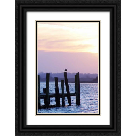 Seagulls at Sunset Black Ornate Wood Framed Art Print with Double Matting by Hausenflock, Alan