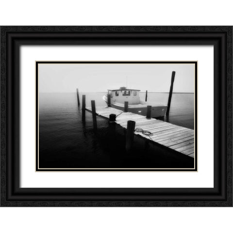 Waiting on the Fog I Black Ornate Wood Framed Art Print with Double Matting by Hausenflock, Alan