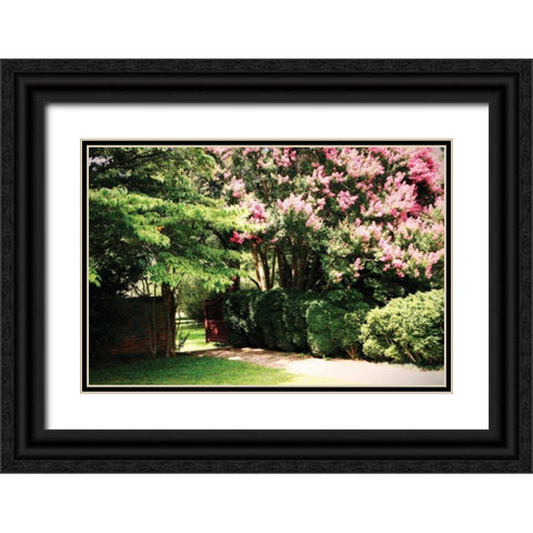 Crepe Myrtle II Black Ornate Wood Framed Art Print with Double Matting by Hausenflock, Alan