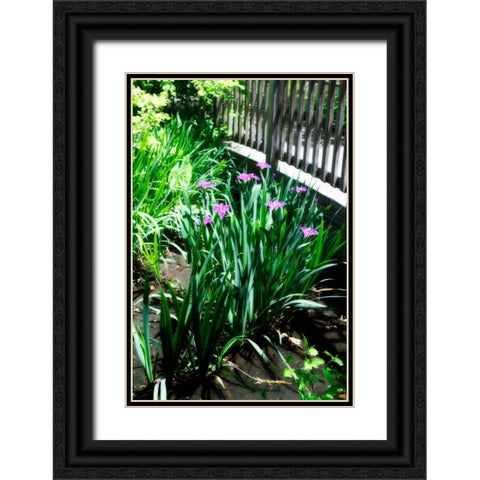 Spring Iris I Black Ornate Wood Framed Art Print with Double Matting by Hausenflock, Alan