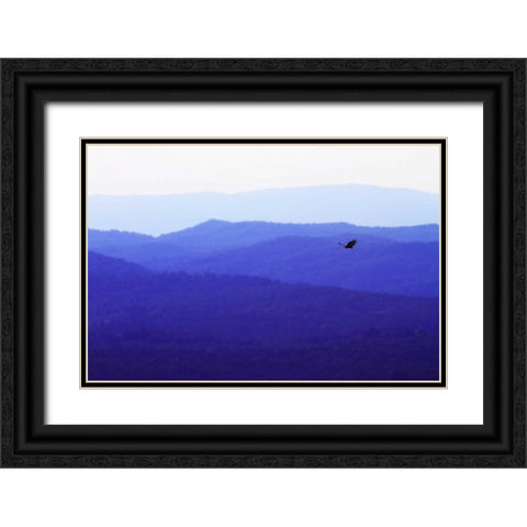 Blue Ridge I Black Ornate Wood Framed Art Print with Double Matting by Hausenflock, Alan