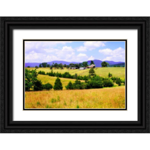 Blue Ridge Farm I Black Ornate Wood Framed Art Print with Double Matting by Hausenflock, Alan