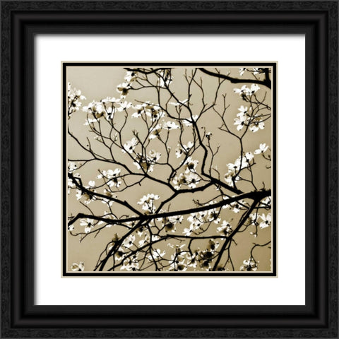 Dogwood Square I Black Ornate Wood Framed Art Print with Double Matting by Hausenflock, Alan