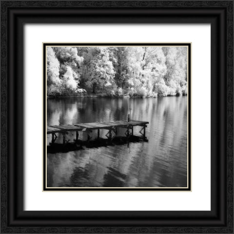 Mint Springs Lake Square III Black Ornate Wood Framed Art Print with Double Matting by Hausenflock, Alan