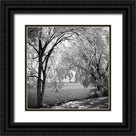 Hopewell Shores Square I Black Ornate Wood Framed Art Print with Double Matting by Hausenflock, Alan