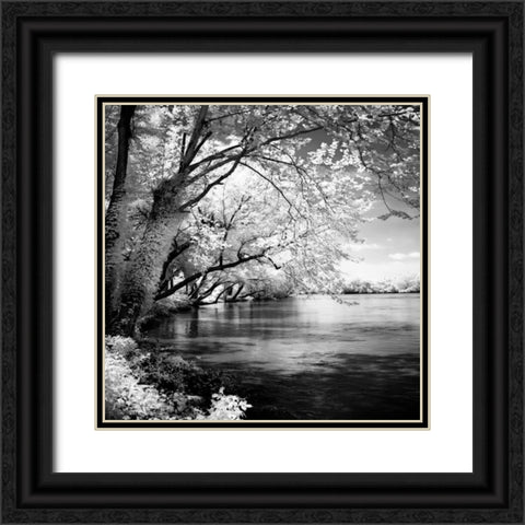 Spring on the River Square I Black Ornate Wood Framed Art Print with Double Matting by Hausenflock, Alan