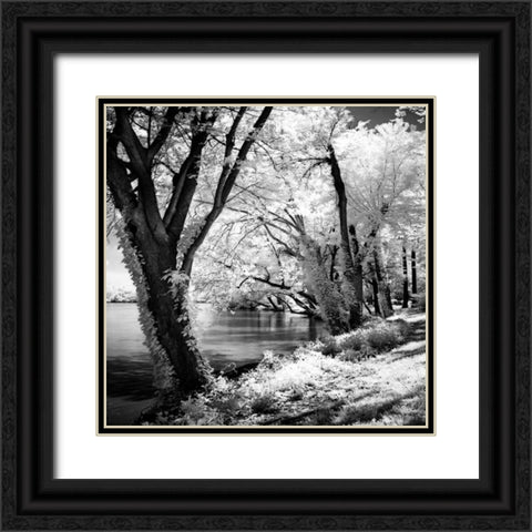 Spring on the River Square II Black Ornate Wood Framed Art Print with Double Matting by Hausenflock, Alan