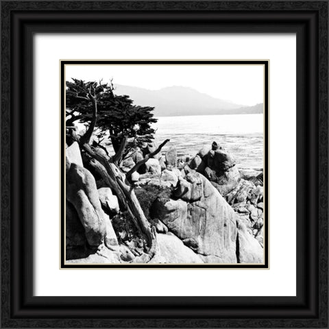 Ocean Cliff Square II Black Ornate Wood Framed Art Print with Double Matting by Hausenflock, Alan