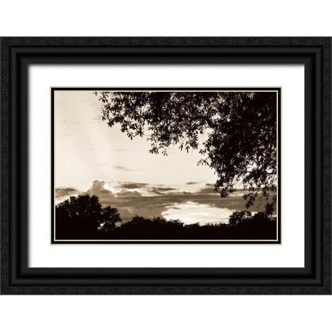 Sunset through Trees I Black Ornate Wood Framed Art Print with Double Matting by Hausenflock, Alan